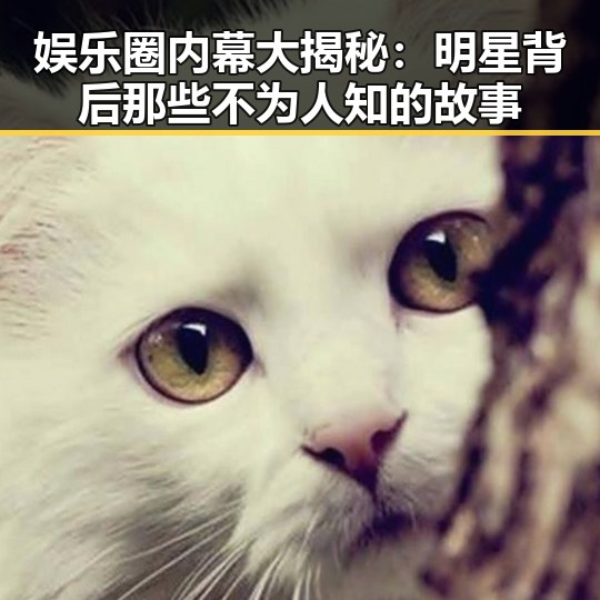 娱乐圈内幕大揭秘：明星背后那些不为人知的故事